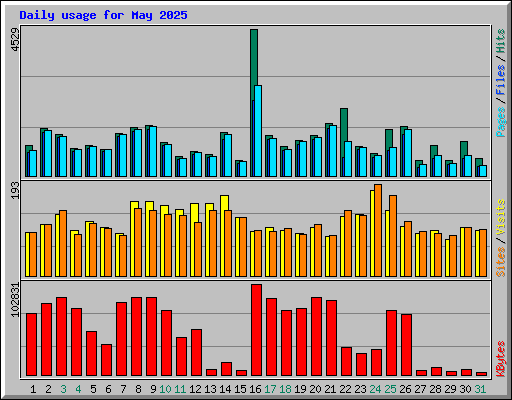 Daily usage for May 2025