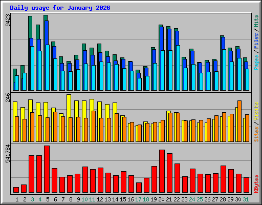 Daily usage for January 2026