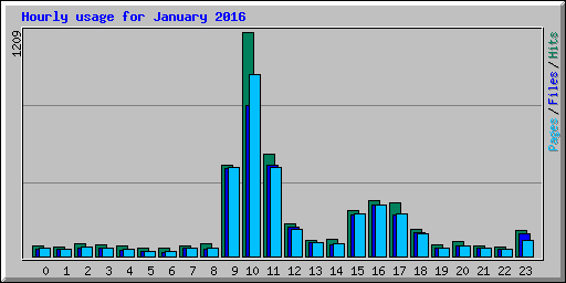Hourly usage for January 2016