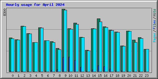 Hourly usage for April 2024