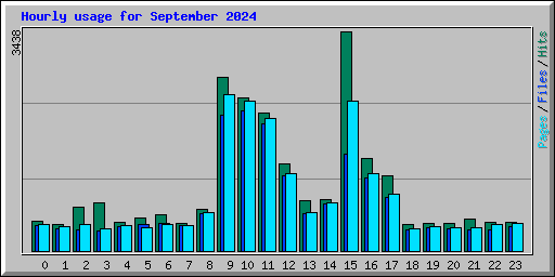 Hourly usage for September 2024