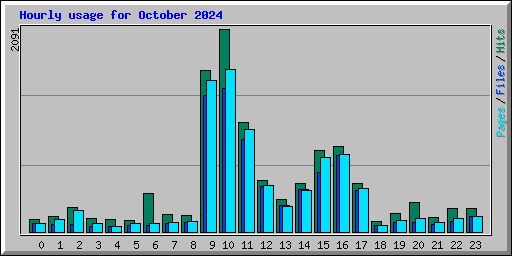 Hourly usage for October 2024