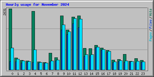 Hourly usage for November 2024