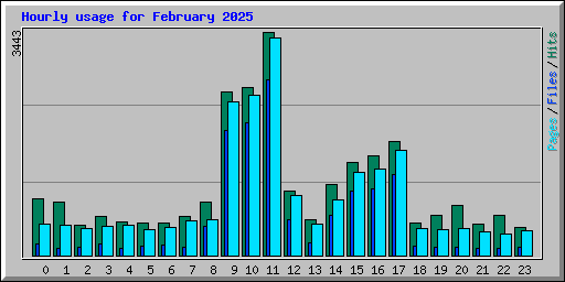 Hourly usage for February 2025