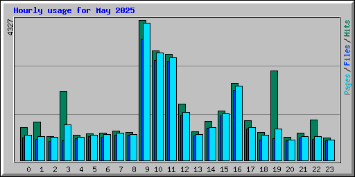 Hourly usage for May 2025