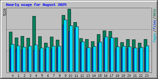 Hourly usage for August 2025