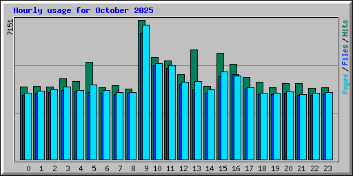 Hourly usage for October 2025