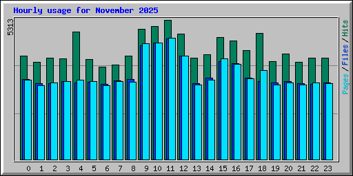 Hourly usage for November 2025