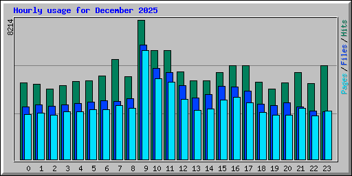 Hourly usage for December 2025