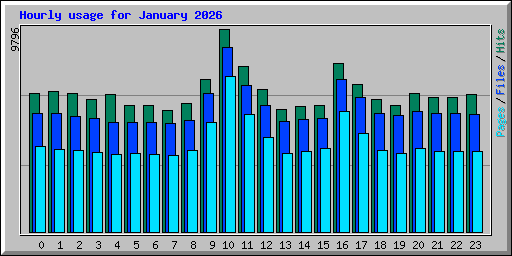 Hourly usage for January 2026