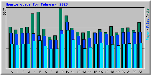Hourly usage for February 2026